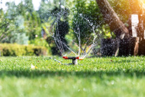 System zraszający do oszczędzania wody w ogrodzie