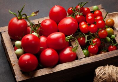 Sadzonki pomidorów – od rozsady po sadzenie pomidorów do gruntu. Jak dobrze przygotować ogródek?
